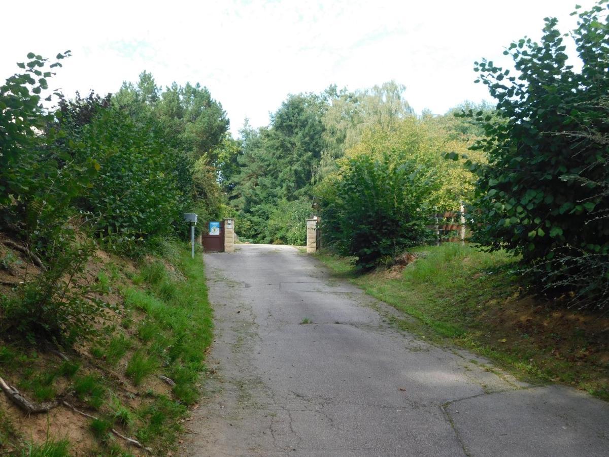 Saulcy-sur-Meurthe L'Amandaure B&B 외부 사진